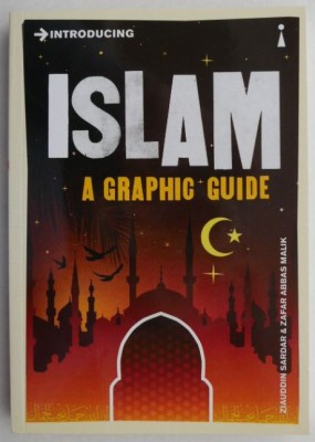 Introducing Islam A Graphic Guide foto