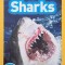 Sharks - Anne Schreiber (Level 2)