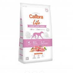 Hrana pentru caini Calibra Dog Life Junior Large Breed cu Miel 2.5 Kg