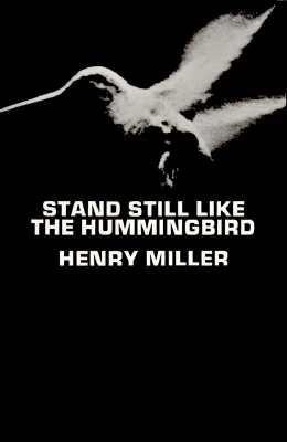 Stand Still Like the Hummingbird foto