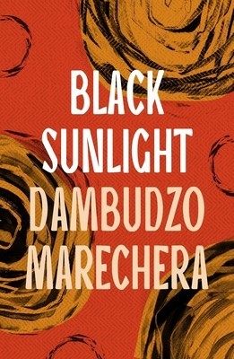 Black Sunlight foto