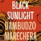 Black Sunlight