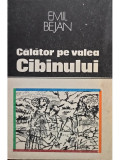 Emil Bejan - Calator pe valea Cibinului (1990)