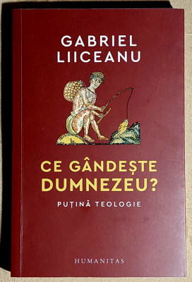 Ce gandeste Dumnezeu ? - Gabriel Liiceanu foto