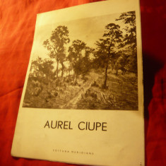 Mic Album - Caiet prezentare pliant - Aurel Ciupe , 6 pag