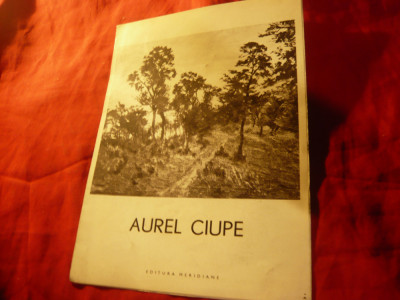 Mic Album - Caiet prezentare pliant - Aurel Ciupe , 6 pag foto