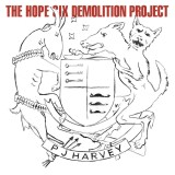 PJ Harvey The Hope Six Demolition Project (cd), Rock