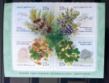 Rusia 2015 Flori, plante, flori de arbori, Flora serie auto -adeziv nestampilat