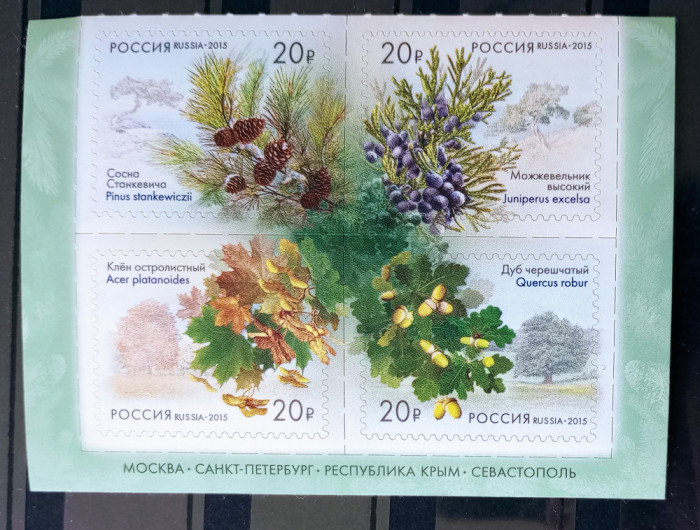 Rusia 2015 Flori, plante, flori de arbori, Flora serie auto -adeziv nestampilat