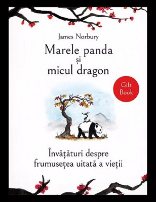 Marele Panda Si Micul Dragon, James Norbury - Editura Bookzone foto