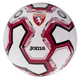 Cumpara ieftin Mingi de fotbal Joma Torino FC Replica Ball A141800A5101 alb