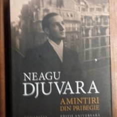 Amintiri din pribegie Neagu Djuvara