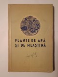 Prof. C. Antonescu - Plante de apă și de mlaștină (1951)