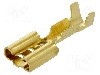Terminal tip plat, pentru surub {{Orificiu pentru &amp;#351;urub}}, BM GROUP - BM 01190