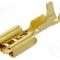 Terminal tip plat, pentru surub {{Orificiu pentru &amp;#351;urub}}, BM GROUP - BM 01190