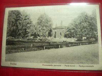 Ilustrata Buzias - Promenada Parcului circulat 1923 francat cu 3x2lei uzuale Fer foto