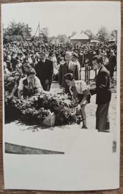 Omagiu eroilor romani cazuti pentru eliberarea Ungariei// fotografie de presa foto