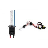 Bec Xenon Tip H1 8000K AMiO