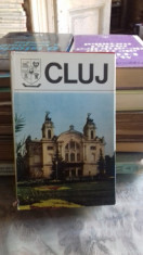 DIN COLECTIA JUDETELE PATRIEI - JUDETUL CLUJ. MONOGRAFIE foto