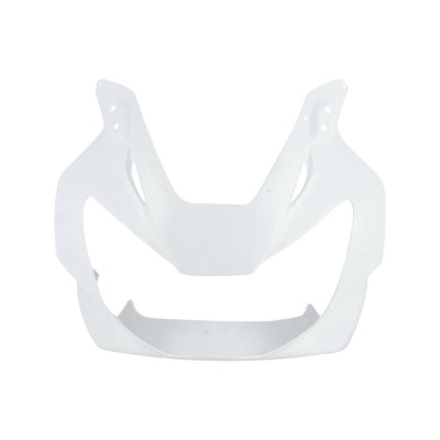 Carena fata HONDA CBR900RR CBR929RR 2000-2001 foto