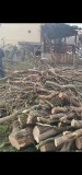 Lemne de foc pentru sobe / seminee