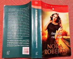 Ametitor ca vinul. Editura Litera, 2016 - Nora Roberts foto