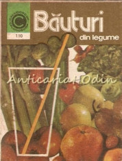 Bauturi Din Legume - Georgeta Septilici foto