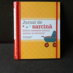 Jurnal de sarcina - Ziba Kashef si editorii