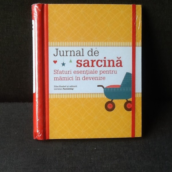 Jurnal de sarcina - Ziba Kashef si editorii