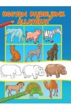 Hogyan rajzoljunk allatokat. Cum sa desenam animale