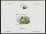 Belgia 2002 - Fauna , Pasari , Rate , Colita nedantelata , MNH ,Mi. Bl.11