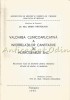 Valoarea Clinicoaplicativa A Interrelatiilor Cantitative In Morfogeneza SNC