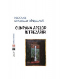 Cumpăna apelor. &Icirc;ntrezăriri - Paperback brosat - Nicolae Stroescu-St&icirc;nișoară - Vremea