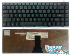Tastatura Laptop eMachines D520 foto