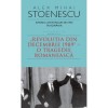Istoria loviturilor de stat -vol.IV / II, Alex Mihai Stoenescu, Rao