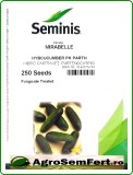 Seminte Castraveti Cornichon Mirabelle F1 Seminis, 250 seminte, hibrid partenocarpic, cultura timpurie, rezistent la boli
