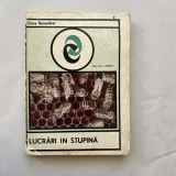 Cora Rosenthal - Lucrari in stupina