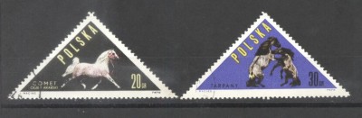 Poland 1963 Horses, used G.291 foto