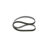 Bosch Curea transmisie cu caneluri