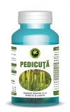 PEDICUTA 60cps HYPERICUM, HYPERICUM IMPEX