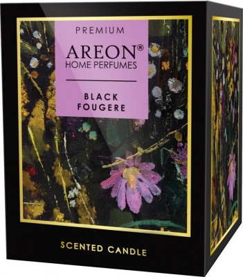 Odorizant Lumanare Areon Premium Scented Candle Black Fougere foto