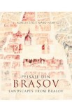Peisaje din Brasov - Aurelia Stoie Marginean
