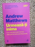 URMEAZA - TI INIMA , CUM SA DESCOPERI SENSUL VIETII PERSONALE SI PROFESIONALE , EDITIA A II - A de ANDREW MATTHEWS , 2023