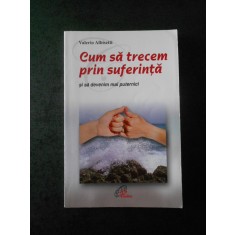 VALERIO ALBISETTI - CUM SA TRECEM PRIN SUFERINTA SI SA DEVENIM MAI PUTERNICI