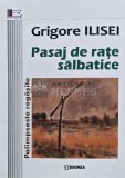 Pasaj de rate salbatice - 2018 - Grigore Ilisei (AP119), Junimea