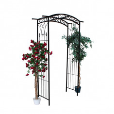 Arcada Metalica pentru Plante GardenLine - 105 x 46 x 215 cm foto