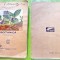 G32-I-Editie veche-BOTANICA Manual Scolar-Scarlat Demetrescu AUTOGRAF original ?