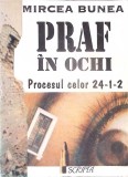PRAF IN OCHI PROCESUL CELOR 24-1-2-MIRCEA BUNEA-345342