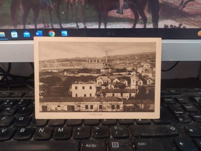 Cernavoda, Vedere generală, necirculată, 1917, 205 foto