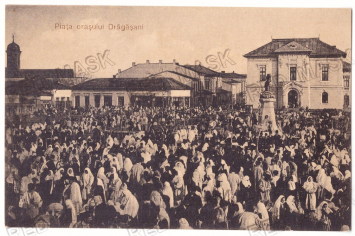 982 - DRAGASANI, Valcea, Market, Romania - old postcard - unused